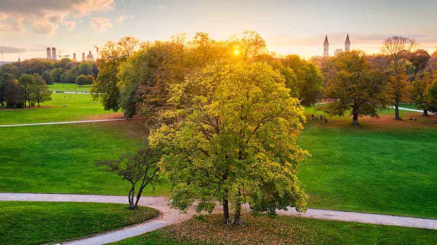 สถาบันการศึกษาในเยอรมนี