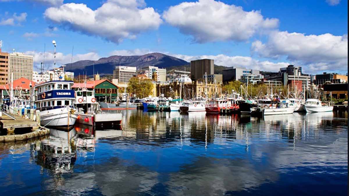 สถาบันการศึกษาในออสเตรเลีย