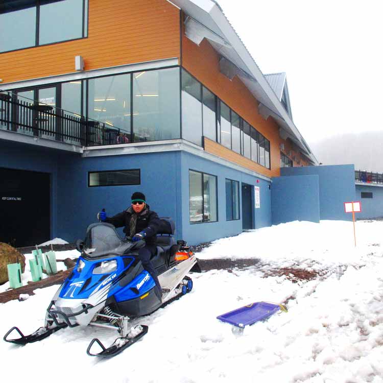 สถาบันการศึกษาในออสเตรเลีย