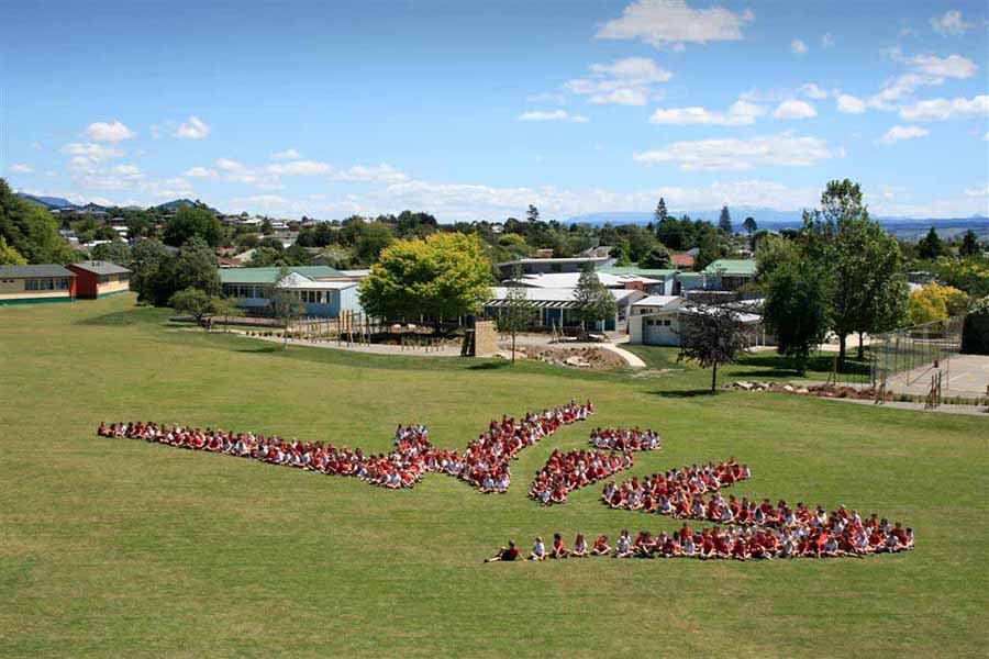 สถาบันการศึกษาในนิวซีแลนด์